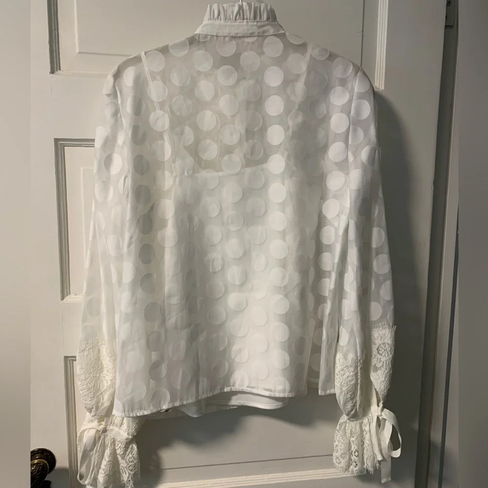 Keepsake Sheer Ruffle Blouse - Picture 9 of 15